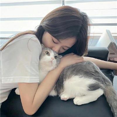 森林