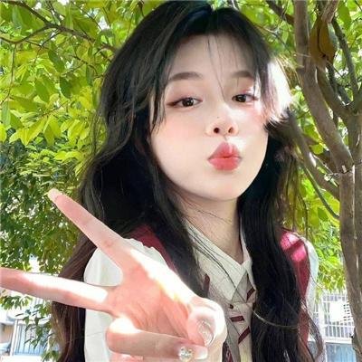 完美独裁