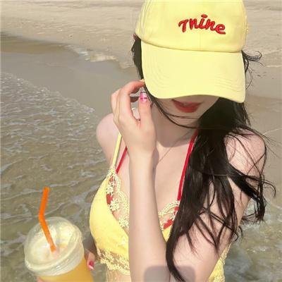 完美的独裁国家